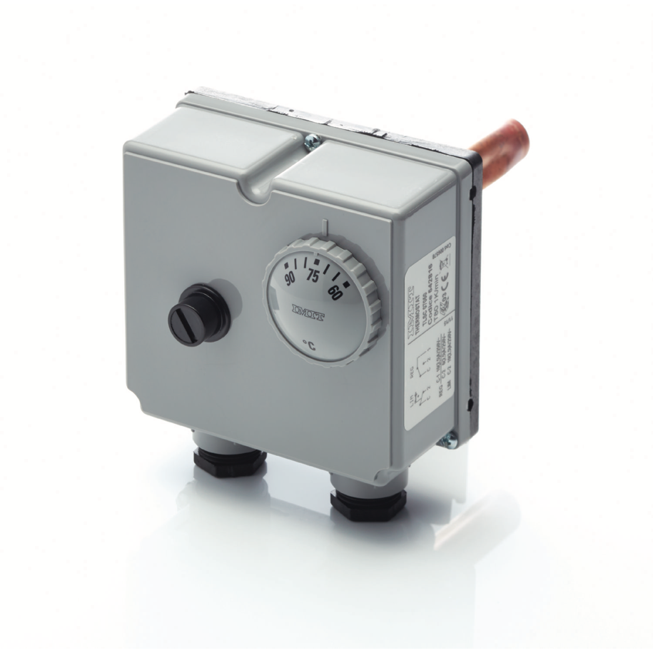 DUAL IMMERSION THERMOSTAT - ½˝ POCKET X 120MM STEM.